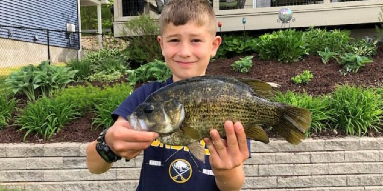 Youth Angler Sets New Rock Bass Record for New York