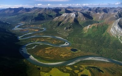10 Unique National Parks