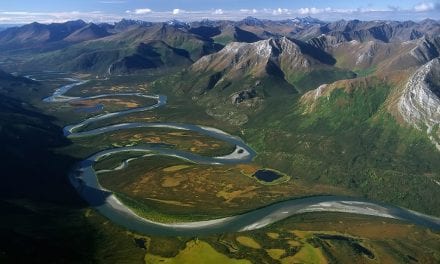 10 Unique National Parks