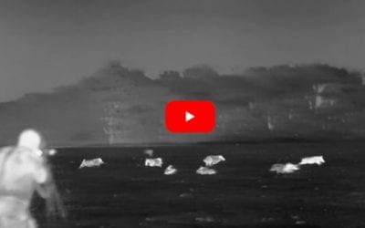 180 Feral Hogs Take Permanent Dirt Naps in Stunning Thermal Footage