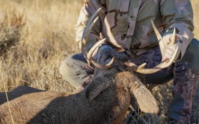 6 Not-So Normal Alternative Ways to Butcher Game Animals