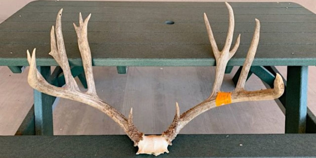 $74,000 Fine for North Dakota Man Who Poached 232-Inch Mule Deer in New Mexico