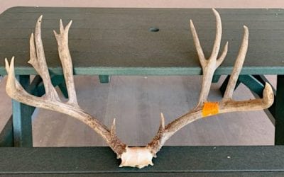 $74,000 Fine for North Dakota Man Who Poached 232-Inch Mule Deer in New Mexico