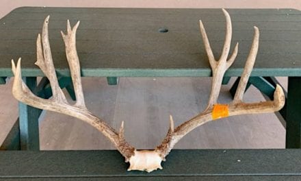 $74,000 Fine for North Dakota Man Who Poached 232-Inch Mule Deer in New Mexico