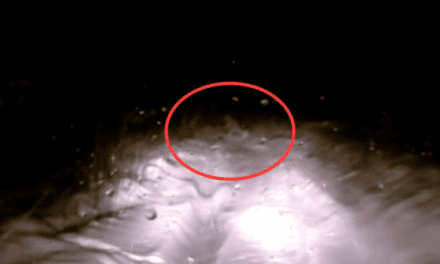 Camera Footage Stirs Up Russian Yeti Theories