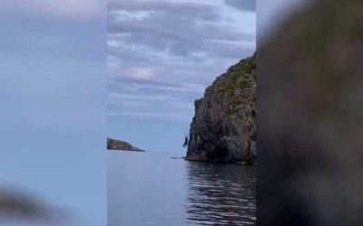 Canadian Bull Moose Cliff Dives Right in Front of Onlookers