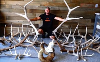 Check Out Some of Hushin’s Best Shed Antler Finds of 2020