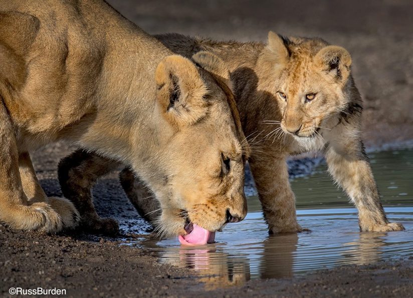 Cover All Bases In Photography, Part 1 Outdoor Enthusiast Lifestyle