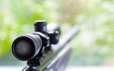 Determining the Best Rifle Caliber for Deer Hunting