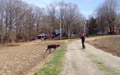 Flashback to the Guy Who Foolishly Wrestled an 11-Point Buck