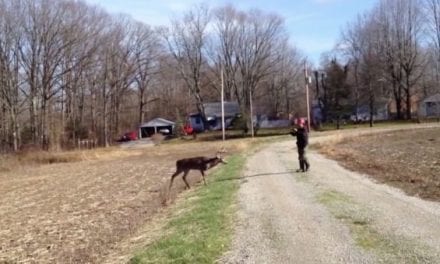 Flashback to the Guy Who Foolishly Wrestled an 11-Point Buck