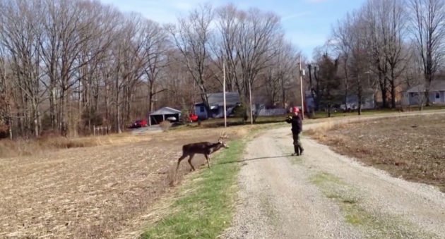 man wrestles deer