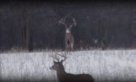 Flashback to When Drury Outdoors Crew Filmed the Largest Wild Buck Ever Caught on Camera