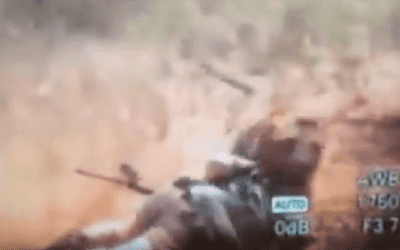 Footage Captures Lion Mauling a Hunter