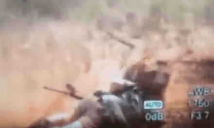 Footage Captures Lion Mauling a Hunter