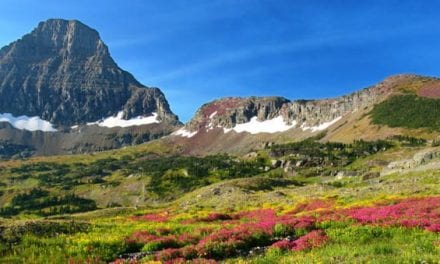 Great American Outdoors Act Earns Congressional Vote, Moves to President’s Desk