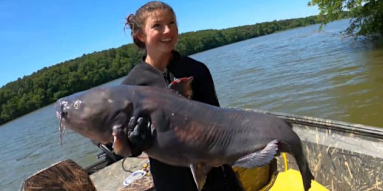 Hannah Barron Noodles a New Personal Best 61-Pound Blue Catfish in Freezing Waters