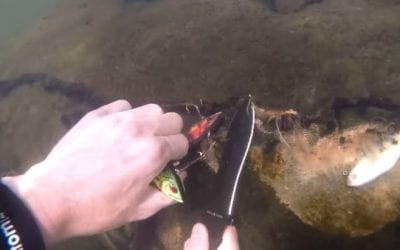 How Lures End Up At the Bottom of Your Favorite Fishing Spot