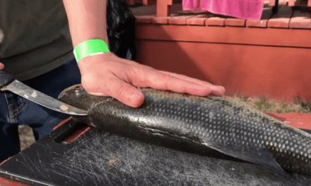 How to Fillet a Bass the Boneless Way