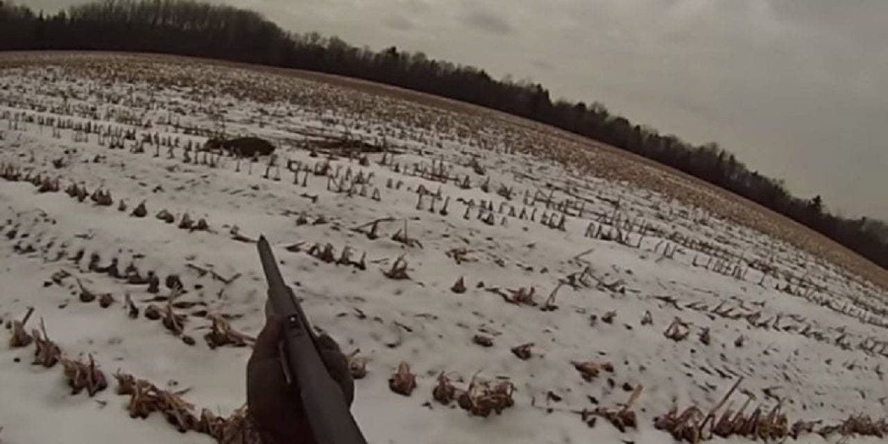 Hunter Makes an Perfect Shot on a Running Buck