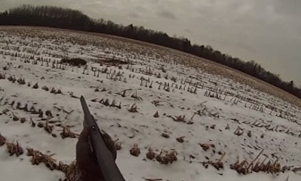 Hunter Makes an Perfect Shot on a Running Buck