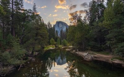 Liquid Reflections Assignment Winner d.mitler