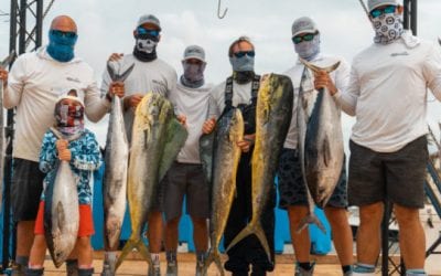 Minnesota Twins Catcher Alex Avila Talks Fishing and Hunting