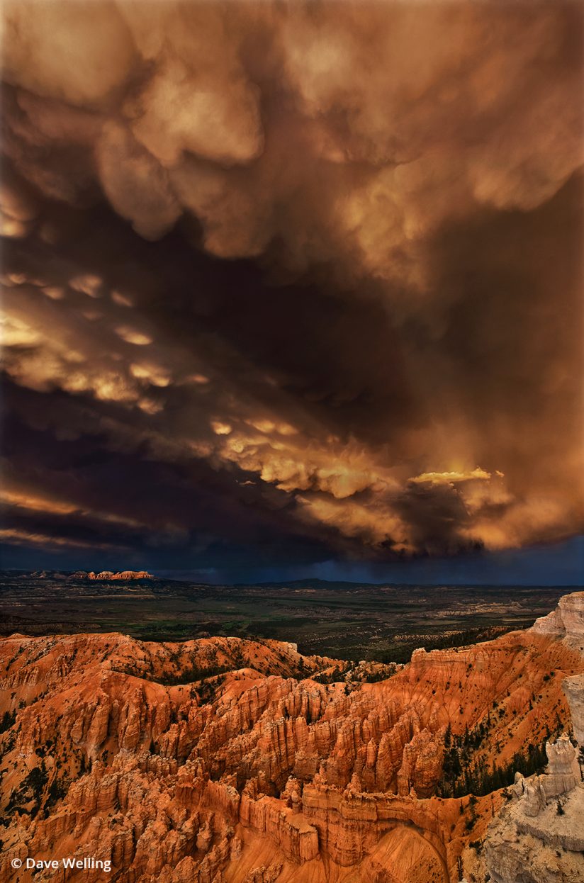 Monsoon photo of mammals clouds