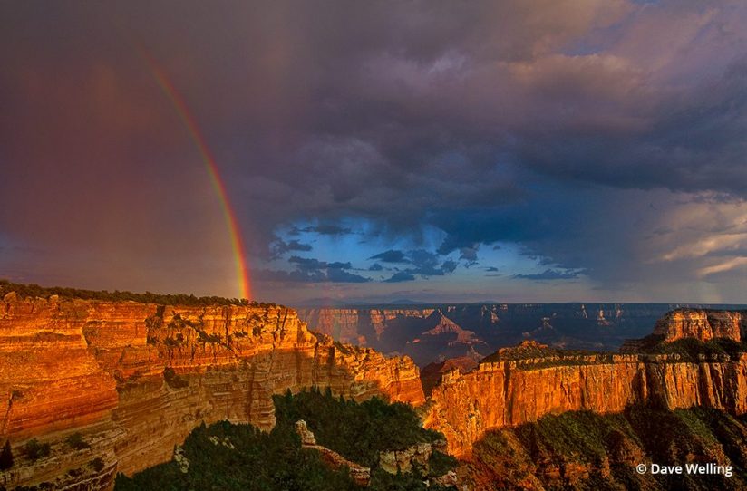 An image of monsoon photography with a rainbow.