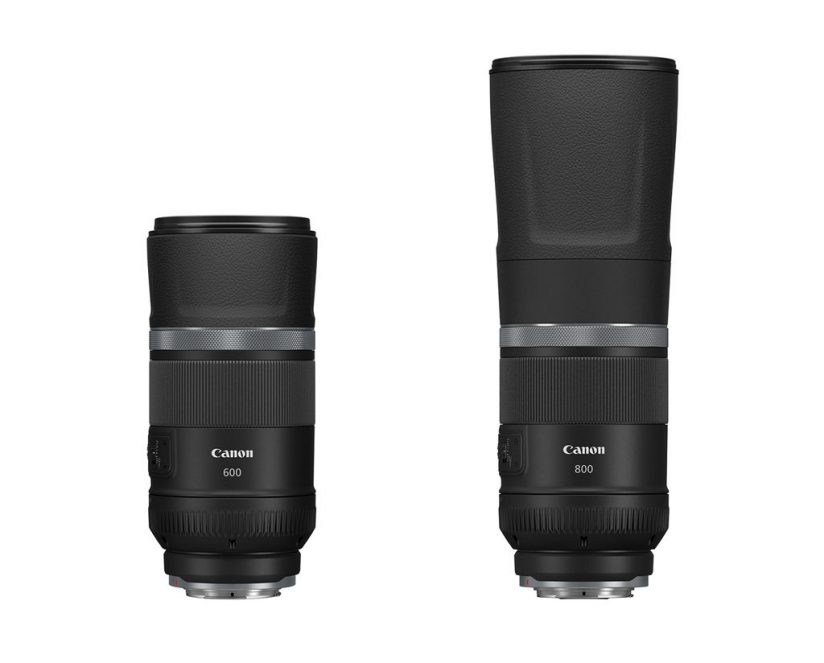 image of the Canon RF600mm F11 IS STM and RF800mm F11 IS STM