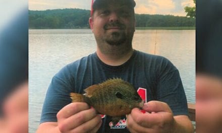 New Missouri Alternative Method State Record Sunfish Weighs a Whopping 4 Ounces