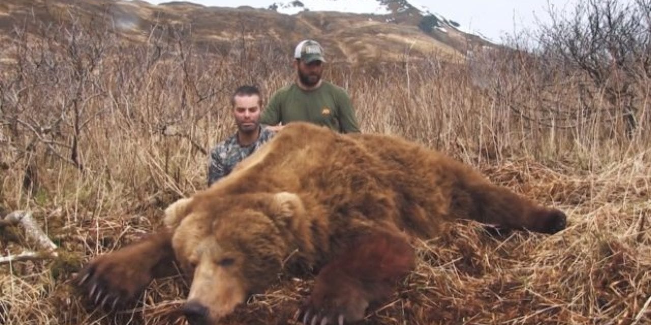 Predator Call Sends Bear Running Straight Into Hunter’s Scope