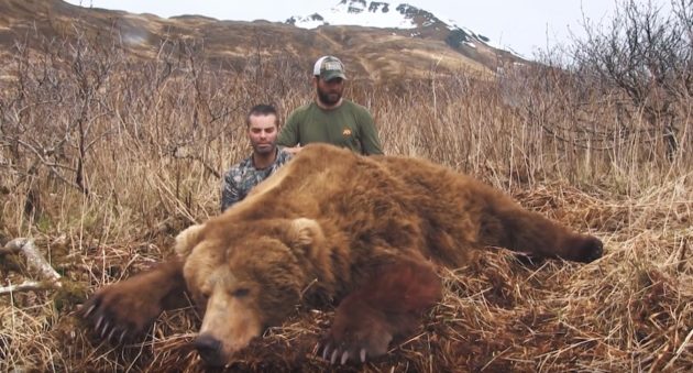 Calling Brown Bear In Alaska- Watch How Fast That Bear Comes In