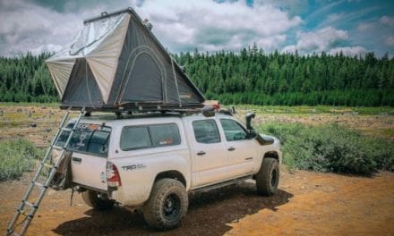 Roofnest Introduces Two New Falcon Models to Line of Rooftop Tents