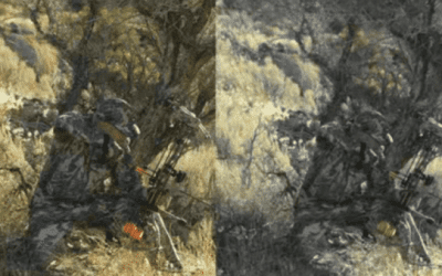 See the World Through Deer Goggles to Understand Their Vision