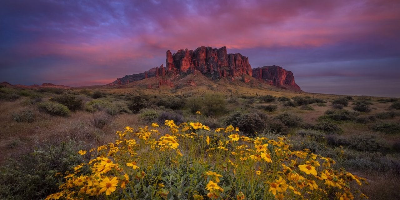 Spring In Bloom Assignment Winner Gerry Groeber