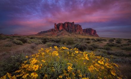 Spring In Bloom Assignment Winner Gerry Groeber