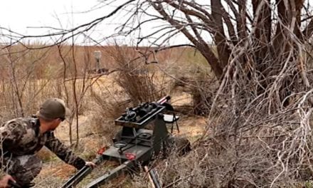 Texas Hunter Takes Out Feral Hog With 40mm Cannon and Grape Shot