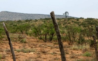 Tour of Texas: Hunting with Savage Through the Lone Star State