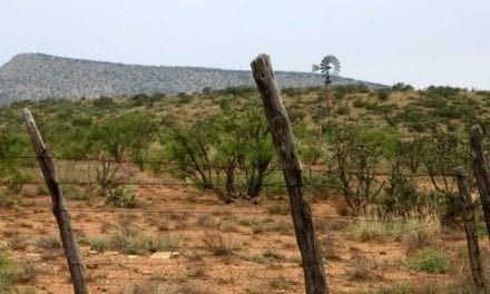 Tour of Texas: Hunting with Savage Through the Lone Star State