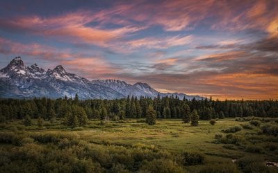 29 Awe-Inspiring Photos Of Nature’s Colors
