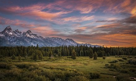 29 Awe-Inspiring Photos Of Nature’s Colors