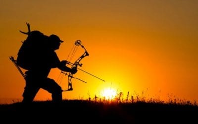 5 Top Rated Deer Hunting Bows
