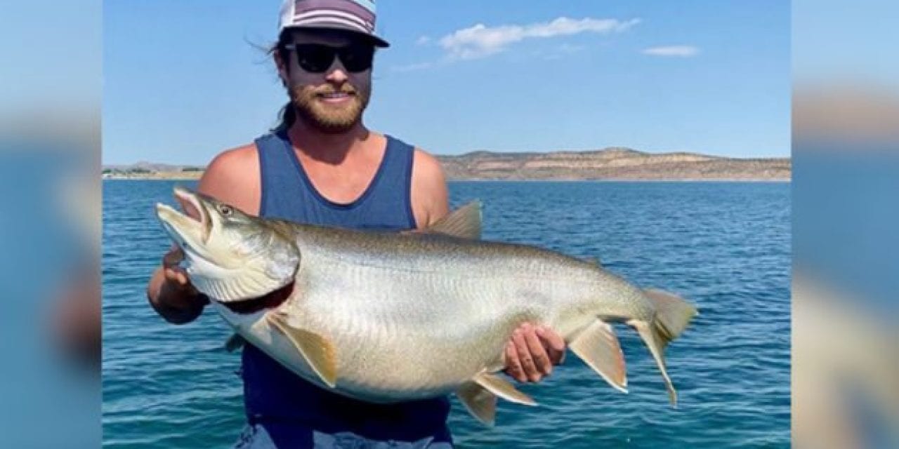 53-Pound, 15-Ounce Lake Trout Annihilates 32-Year-Old Utah State Record