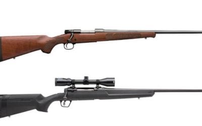 8 Great .243 Winchester Rifles for Deer, Varmints and More