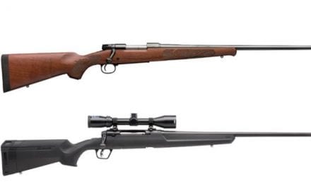 8 Great .243 Winchester Rifles for Deer, Varmints and More