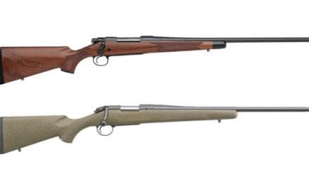 8 Solid Options for Hunting Rifles Chambered for .270 Winchester