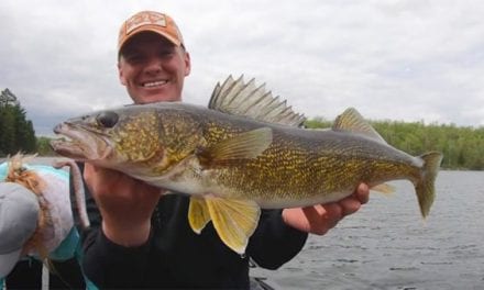 Angler Shows the Benefits of Fishing With a ‘Tiny Child Rig’ and What it Looks Like Underwater