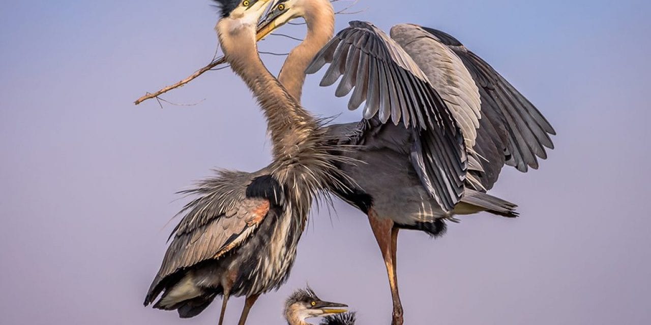 Behind The Shot: Family Portrait