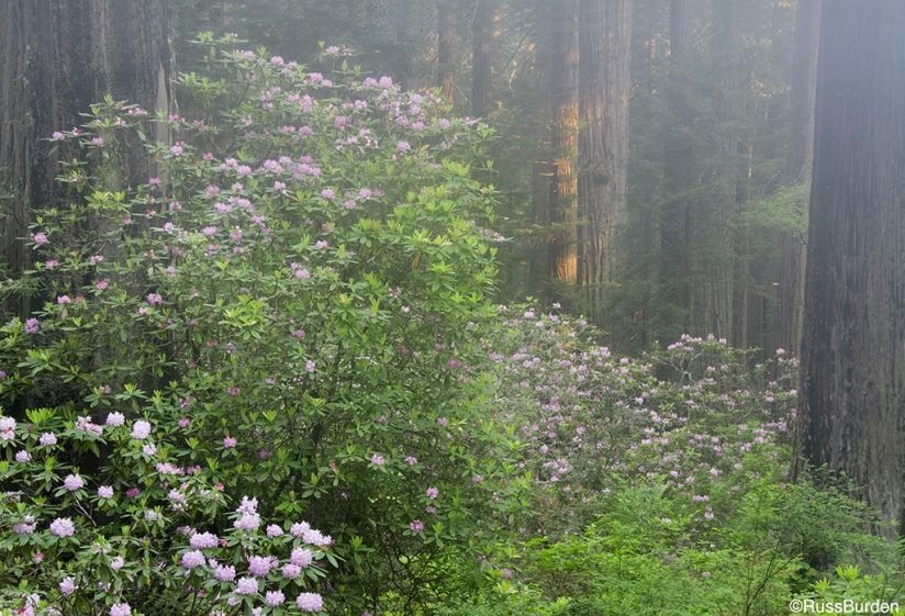 Cover All Bases In Photography, Part 2 Outdoor Enthusiast Lifestyle